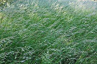 《心灵杀手2》PC版将支持DualSense手柄